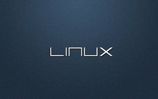 Linux虛擬主機(jī)
